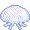 クラゲ