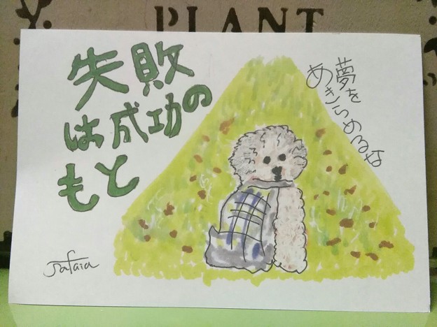 願いが叶うまで2 犬と猫の壁