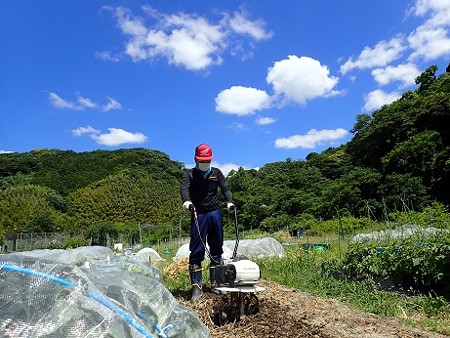 写真: 葉山農園風景１（縮小）