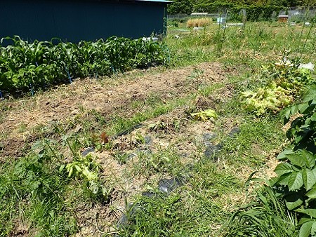 写真: 作業２（縮小）