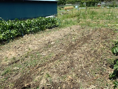 写真: 作業３（縮小）