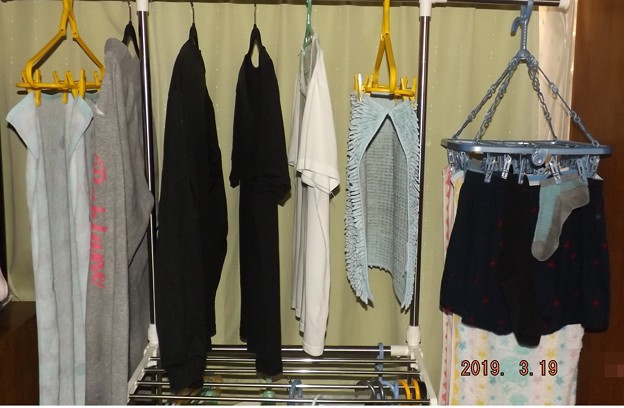 2019/03/19（火）・部屋干し