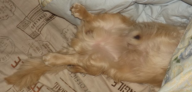 2019/03/29（金）・コロン