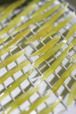 よ～く乾かすと、食感が戻ってくる！