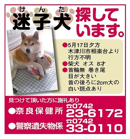 ケンタくんを探して！