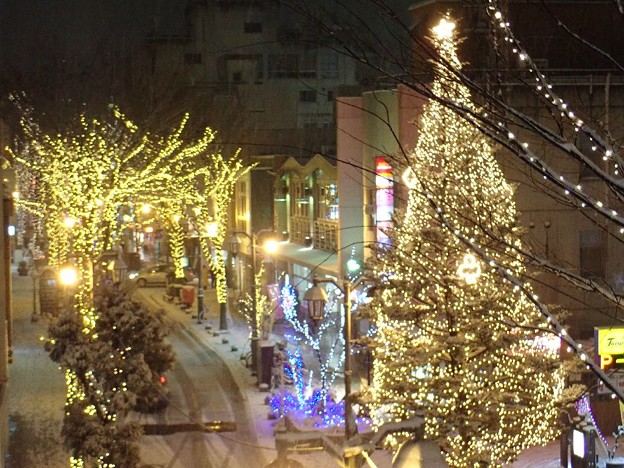 夜のパセオ通り