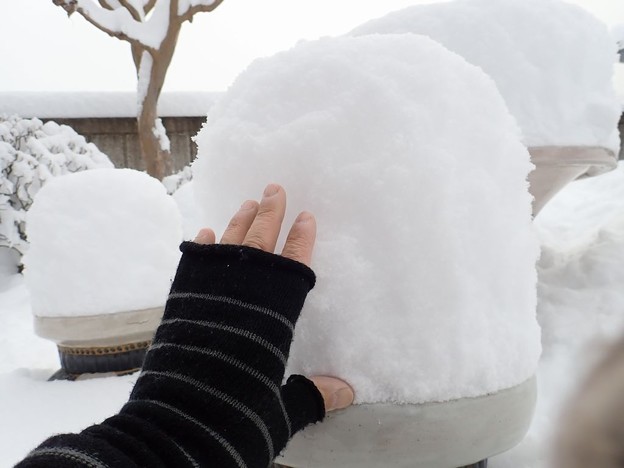 積雪は40cm