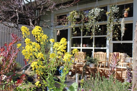 ハレルゥガーデン