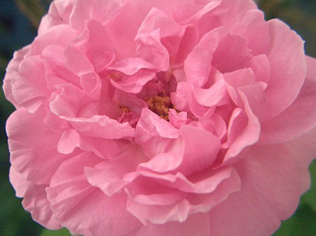 コンテ・ドゥ・シャンポール 002