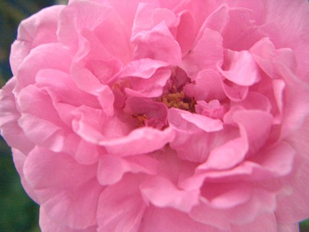 コンテ・ドゥ・シャンポール 005