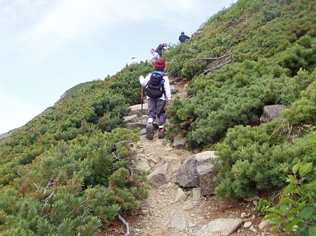 さぁ~もうちょっと頑張ろう～