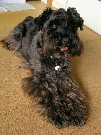 よくわかりませんね。