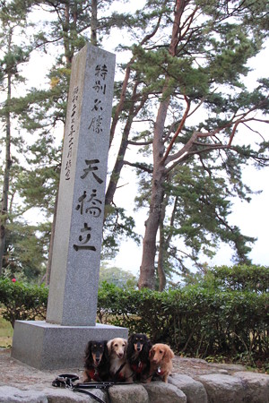 天橋立でパチリ