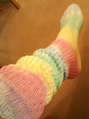 WEGO ﾀｲﾀﾞｲﾙｰｽﾞｿｯｸｽ (1)