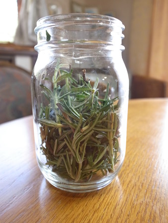 写真: ローズマリー酵母２