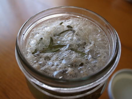 写真: ローズマリー酵母３日目