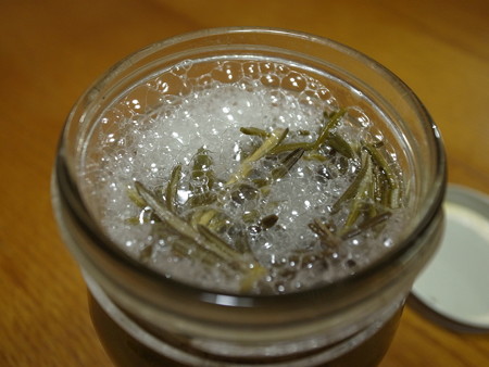 写真: ローズマリー酵母5日目