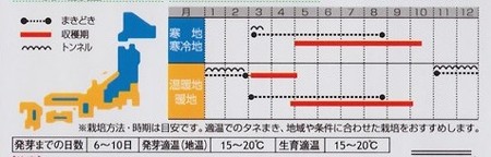 写真: アクティブ　ホウレンソウ