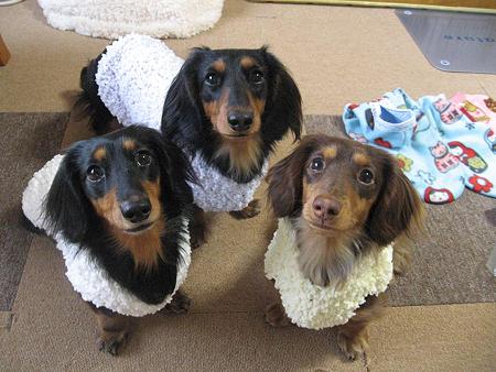 編んでもらっちゃった