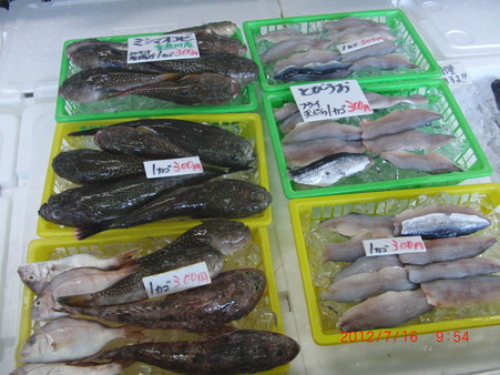 ５３道の駅親不知ピアパーク９：５４