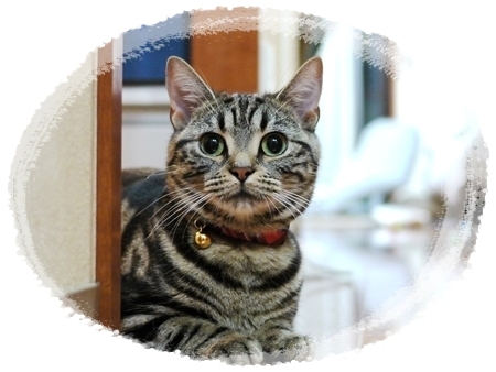 カレンダー候補5