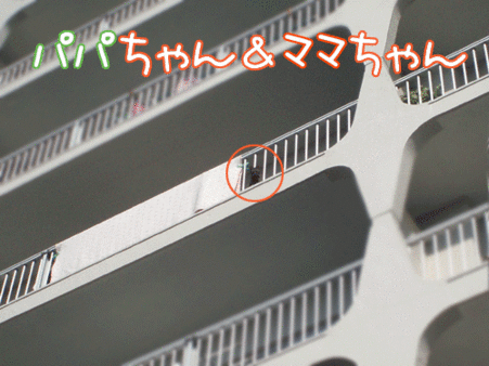 【猫アニメ】お見送りにゃ！