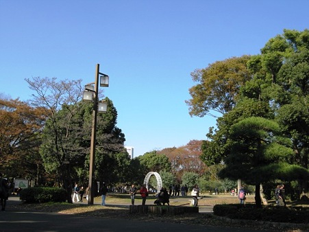 代々木公園に行きました
