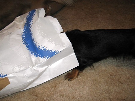 何が入ってるんだろう？