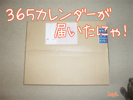 【猫アニメ】365カレンダーにゃ！