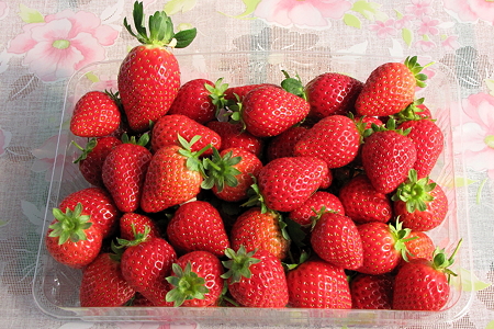 いちご２IMG_0420