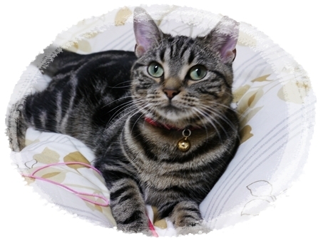 カレンダー候補3