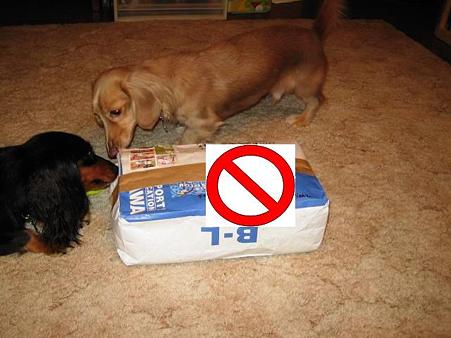 何か届いたよ。