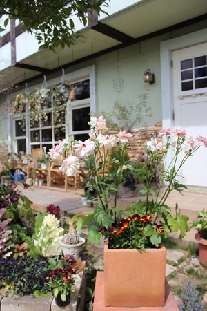 ハレルゥガーデン