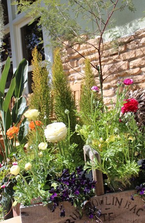 ハレルゥガーデン