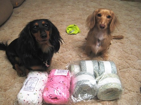 PieWieさんありがとう