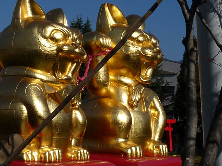 裏に回るとこんな顔！