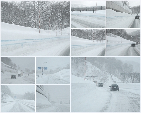 山越え・帰り　cats