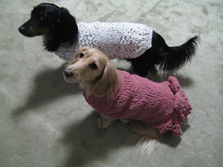 似合いましゅか？