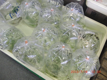 ６５道の駅あらい１２：００