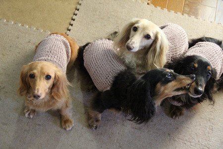 プチ何してる～