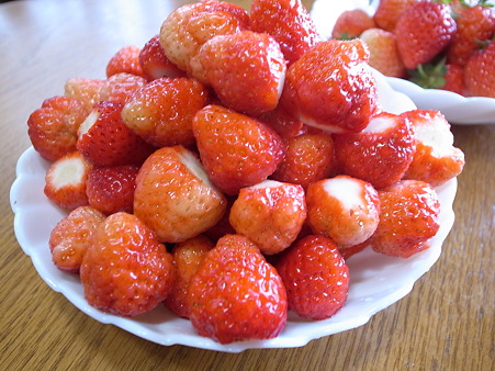 写真: イチゴ収穫