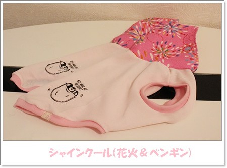 ☆新作☆シャインクール(花火＆ペンギン)