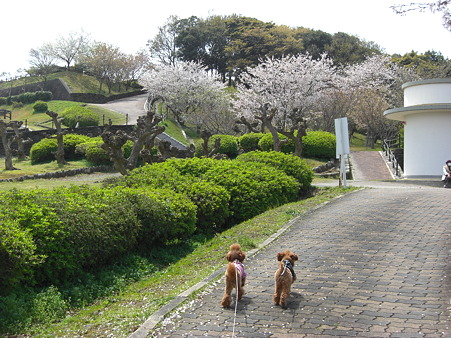 4/2　西海橋公園☆コロチロ