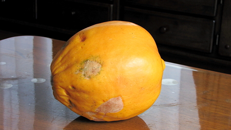 天然パパイヤ１IMG_1226