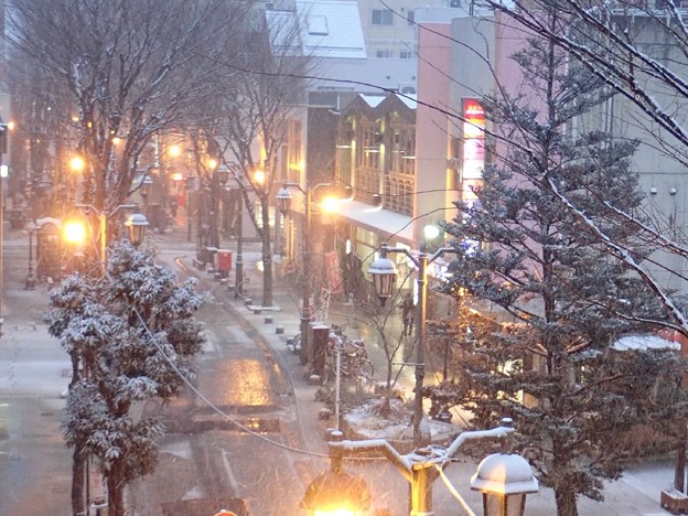 夕方のパセオ通り