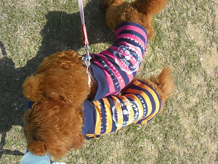 9/28　一緒にお水をガブガブ～