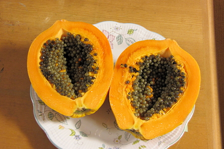 天然パパイヤ２IMG_1231