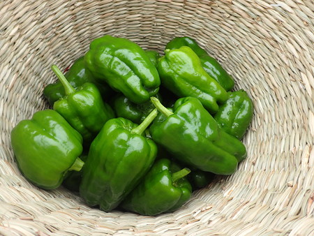 写真: 収穫野菜２