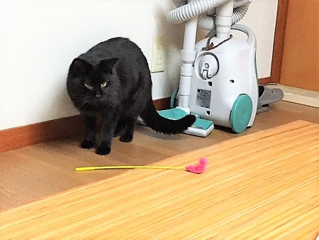 161118３ルーチェ１