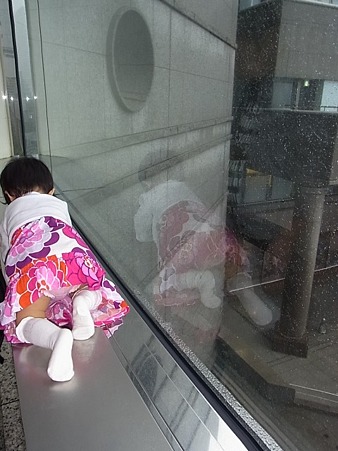 ハイハイ。。。